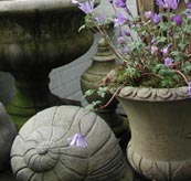 Für den Garten